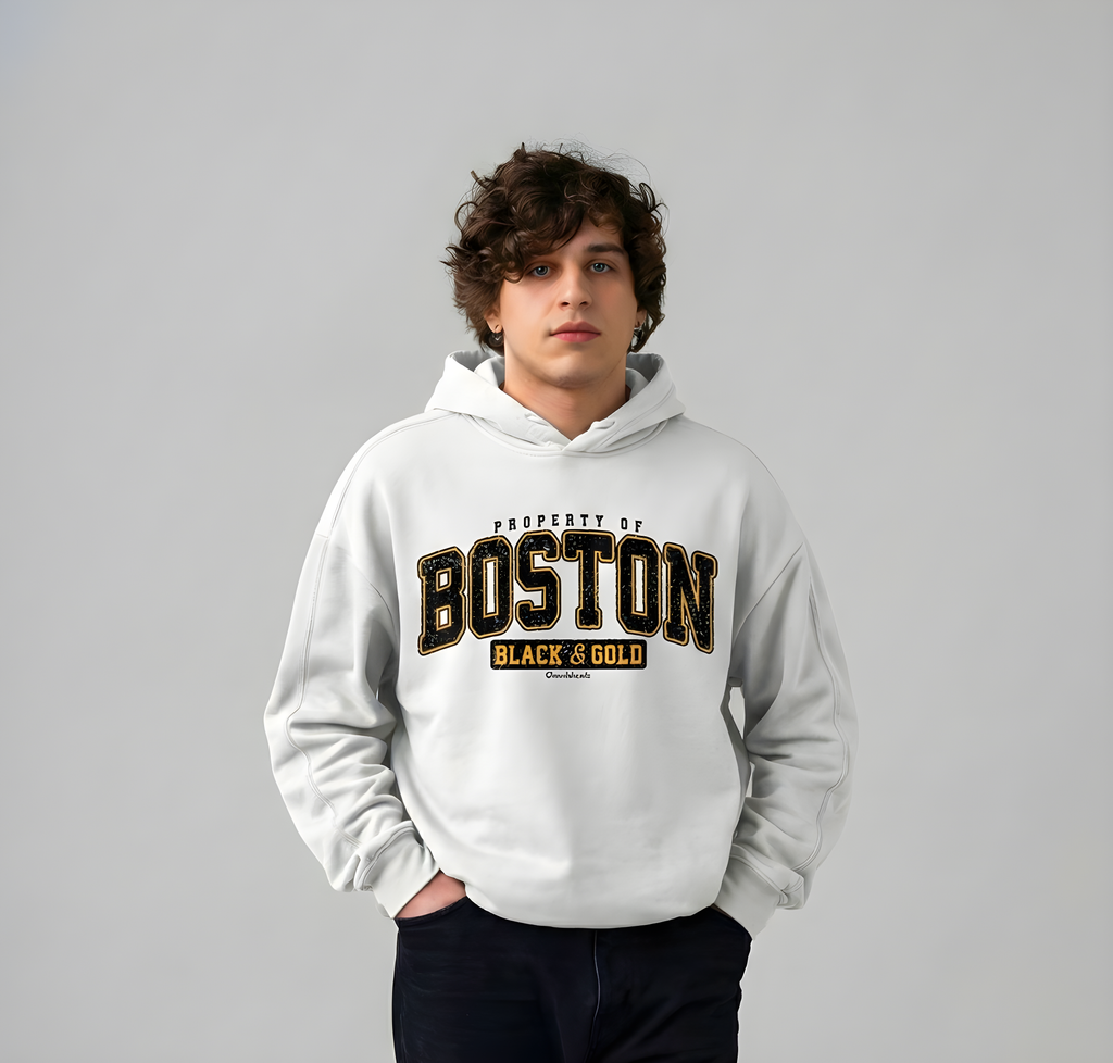 Boston Style  Men's Fleece Hoodie